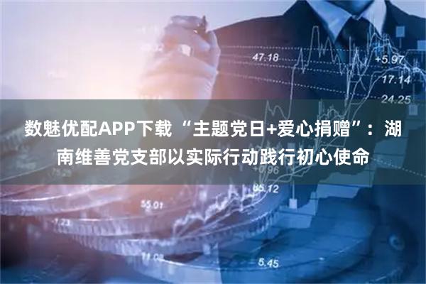 数魅优配APP下载 “主题党日+爱心捐赠”:湖南维善党支部以实际行动践行初心使命