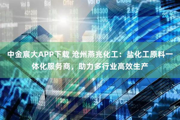 中金宸大APP下载 沧州燕兆化工：盐化工原料一体化服务商，助力多行业高效生产