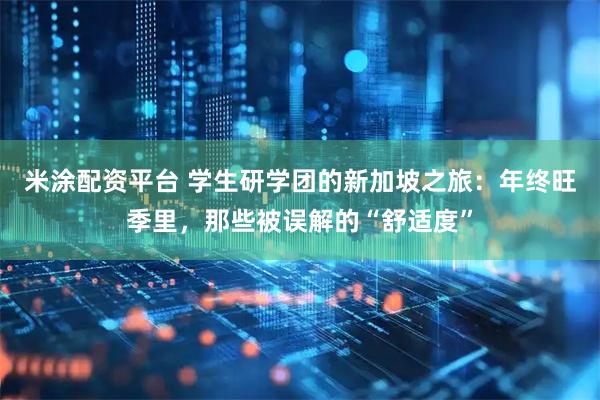 米涂配资平台 学生研学团的新加坡之旅：年终旺季里，那些被误解的“舒适度”